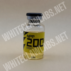 NPP 200