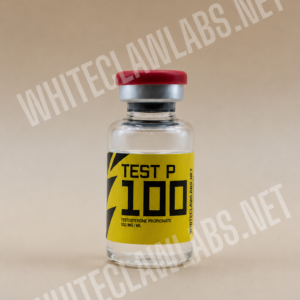 Test-P 100