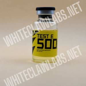 Test-E 500